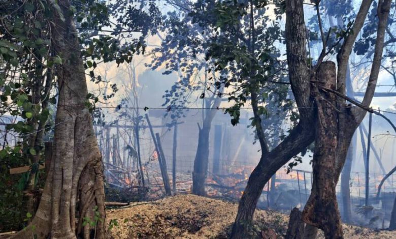 Autoridades controlan incendio de cabaña en Tulum