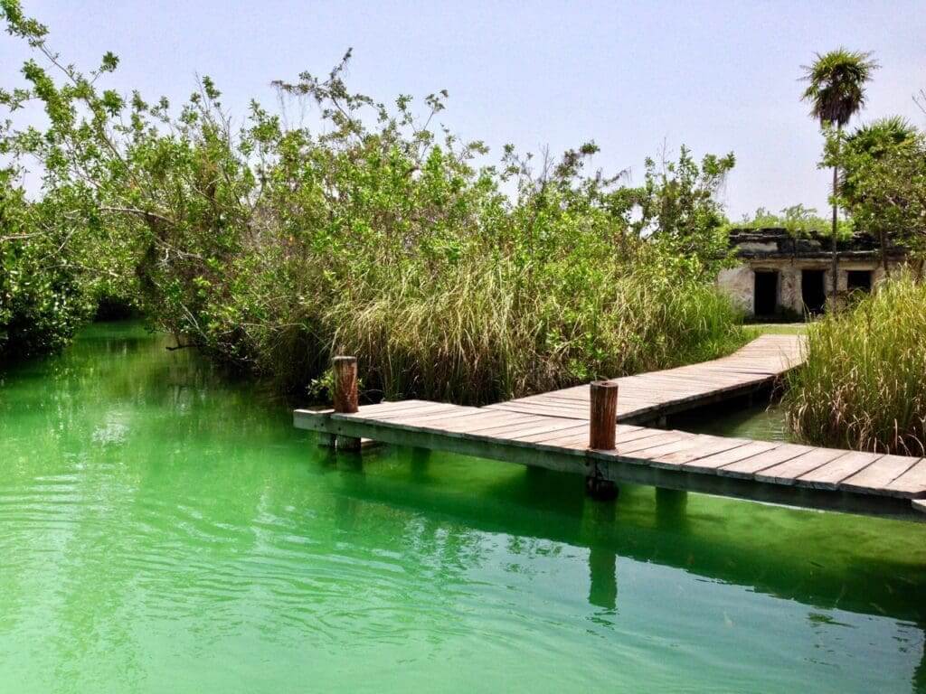 Muyil, a forgotten gem of a Maya city, is close to Tulum - Tulum Times