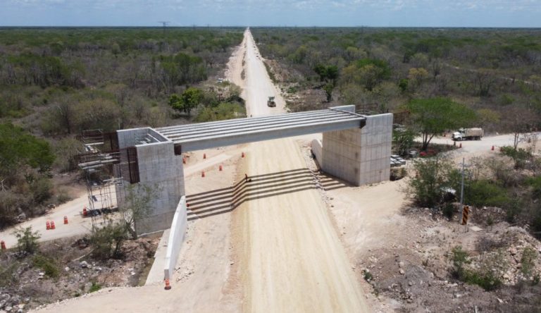 El camino al éxito de Tren Maya a través de inversiones privadas