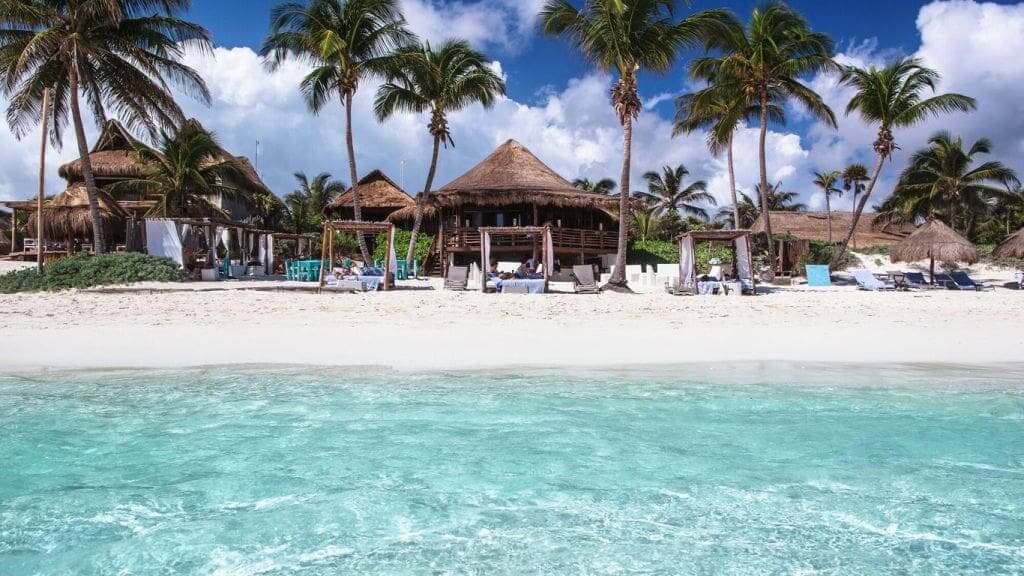 Breaking News from Tulum Mexico - Tulum Times