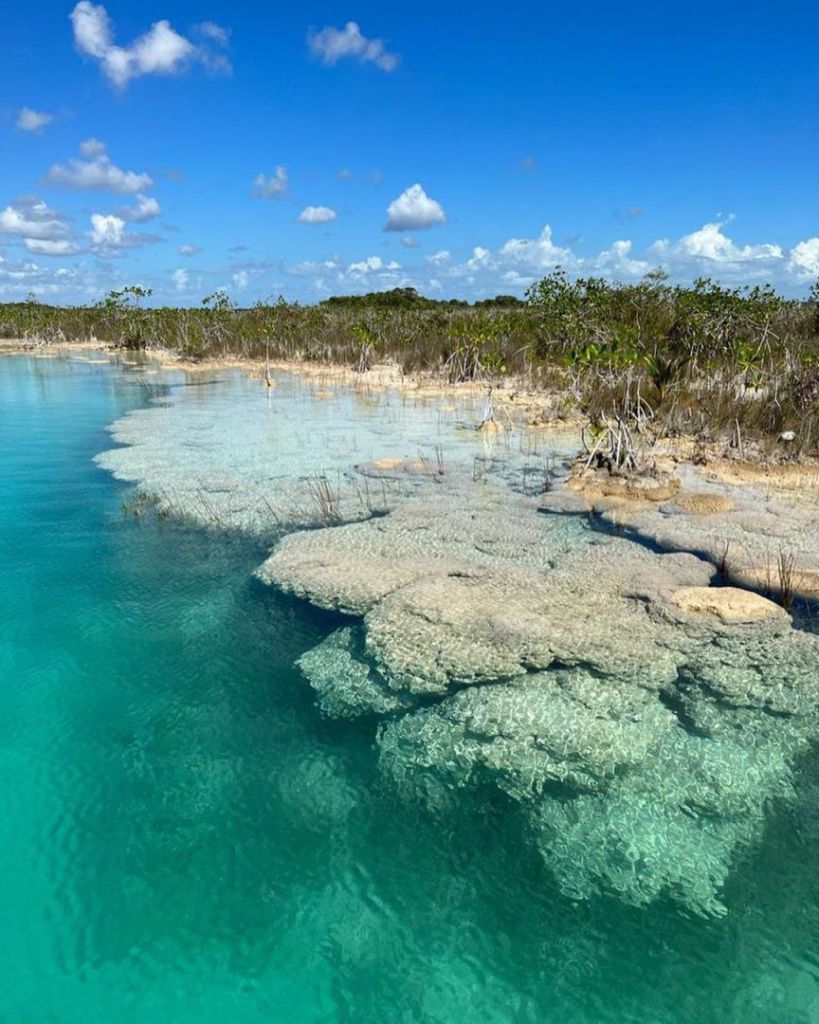 Bacalar's Living Stones that Unveil the Secrets of Earth's Origins
