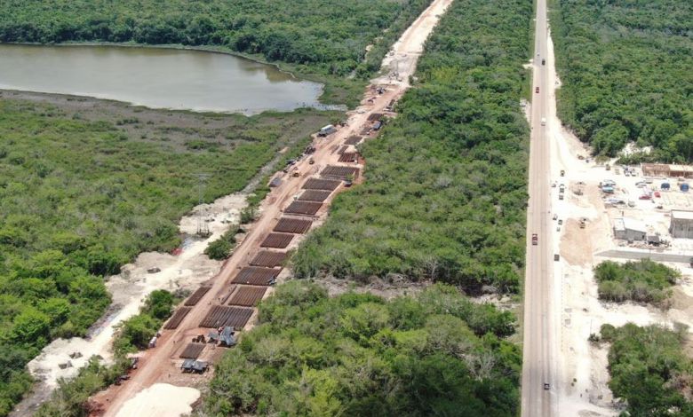La Sedena enfrenta una reacción violenta cuando el proyecto Tren Maya desencadena un desastre ecológico