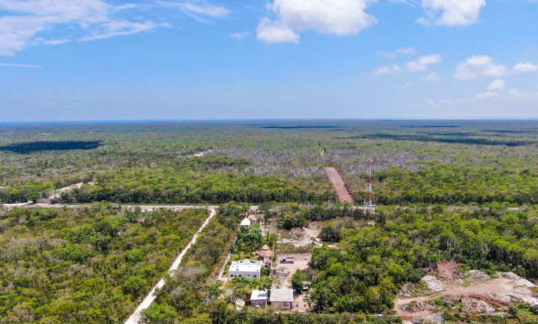 Tulum's 'Parque Jaguar' Grapples with Ownership Controversy