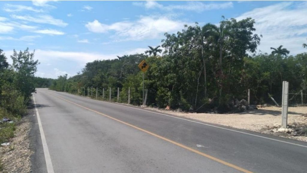 Semarnat Rejects Xiib Kaab Condo Project, Safeguarding Tulum's Mangroves