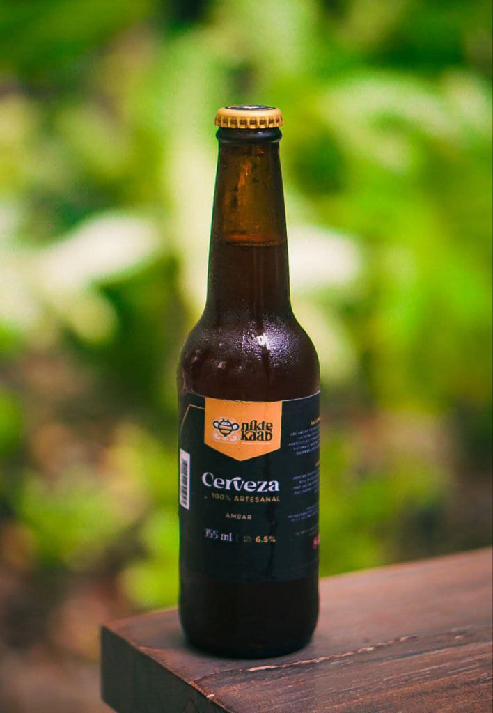 Tulum's Apiculture Legacy Takes Flight with Nikte Kaab Craft Beer