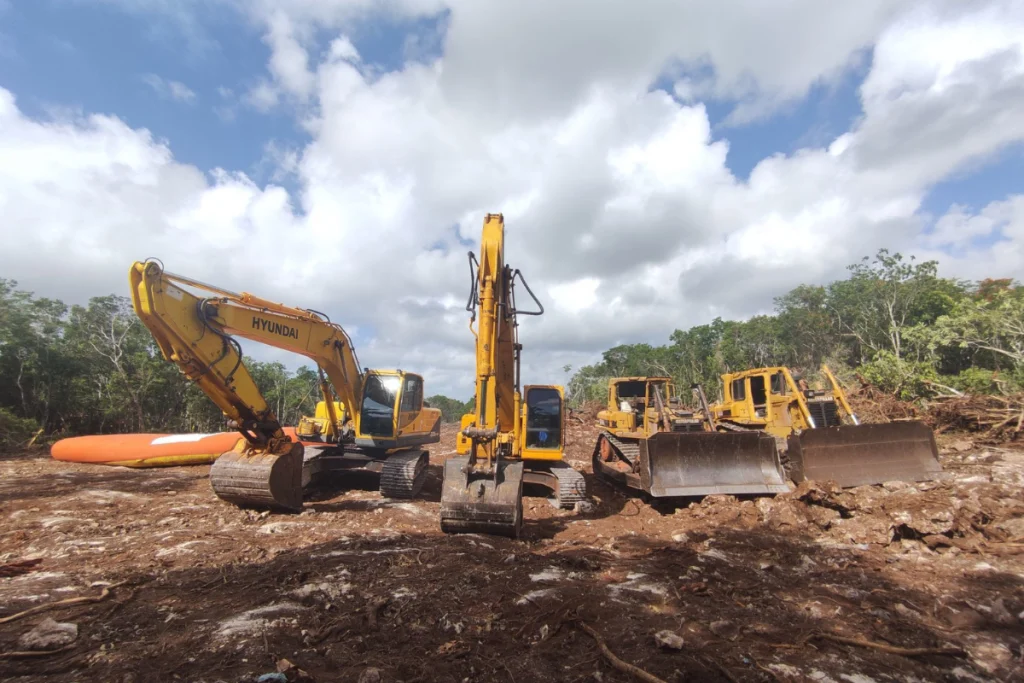 Environmental Advocates Challenge Tren Maya Project Amid Forest Loss