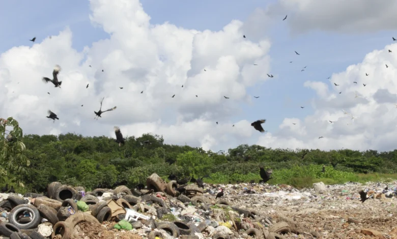 Sobrecarga de Residuos: El Acto de Equilibrio de Tulum entre Desarrollo y Sustentabilidad