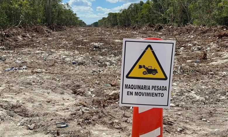 Defensores del medio ambiente cuestionan el proyecto Tren Maya en medio de la pérdida de bosques