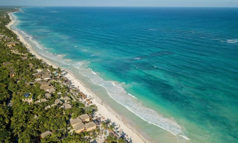The Untold Story of Tulum's Property Wars