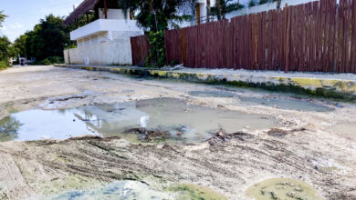 Dengue Danger in Tulum And Condo's Pool Practices