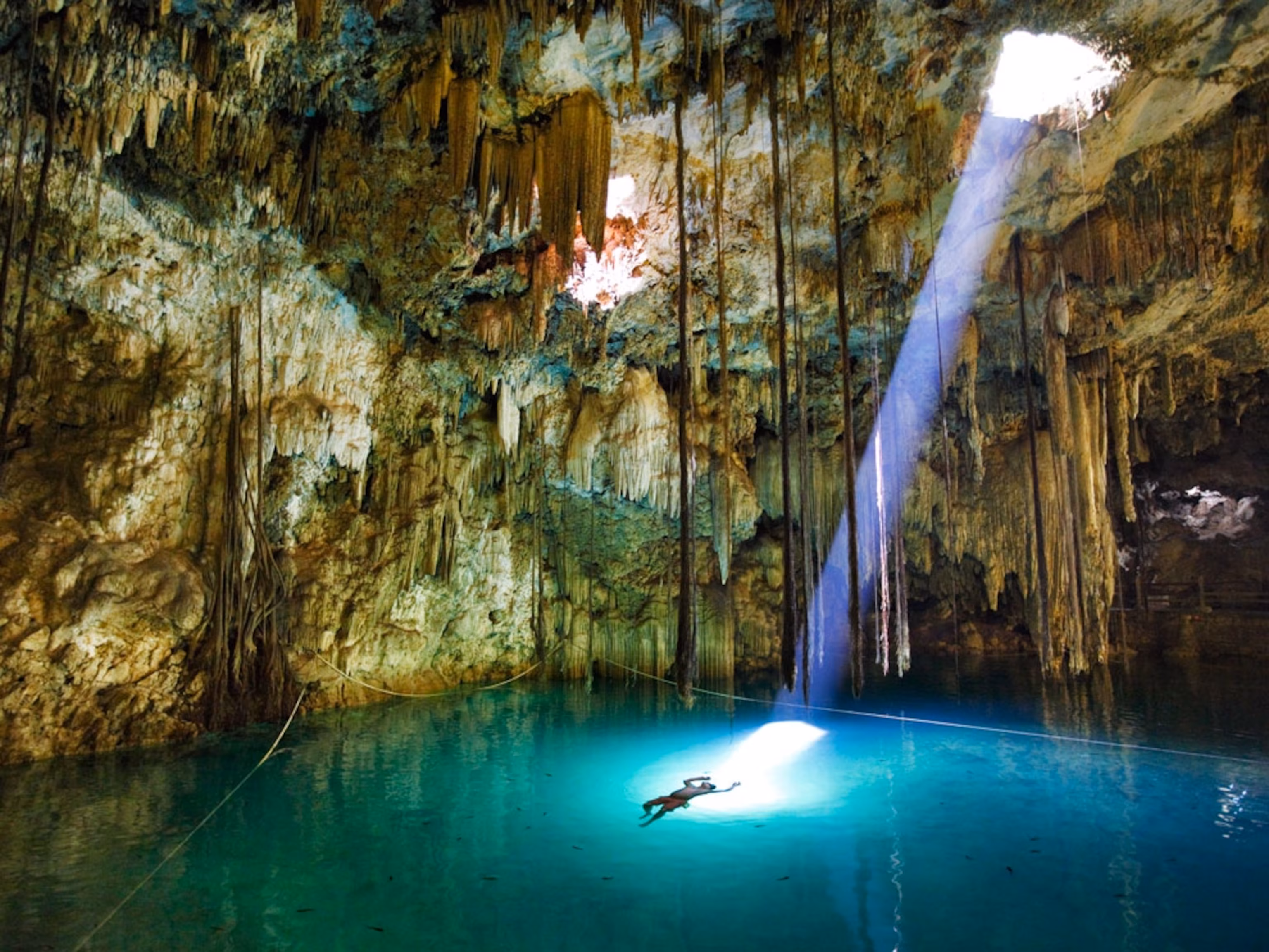 Discover Tulum's cenotes, their history, cultural significance, and detailed guide to visiting, including locations, tips, and must-know visitor information.