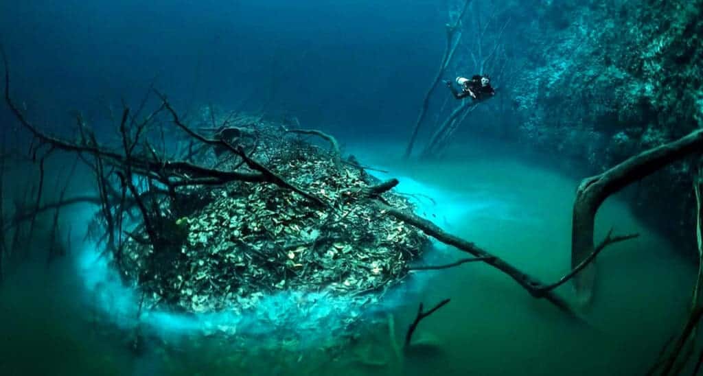 Discover Tulum's cenotes, their history, cultural significance, and detailed guide to visiting, including locations, tips, and must-know visitor information.