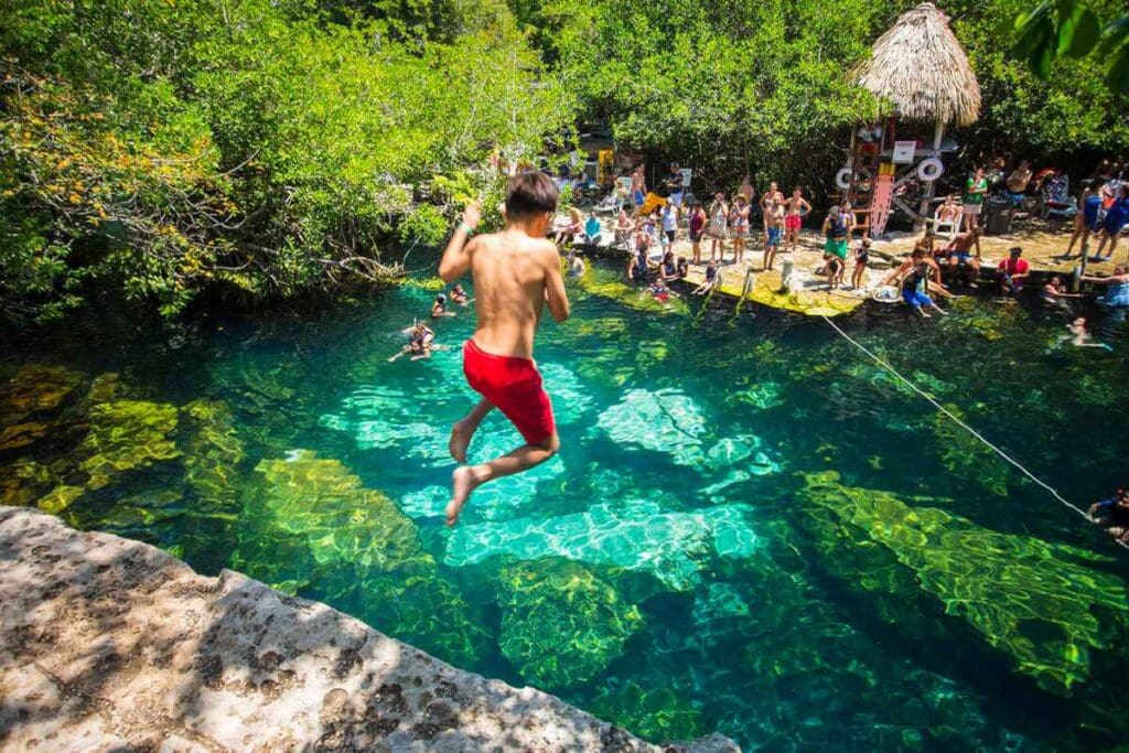 Discover Tulum's cenotes, their history, cultural significance, and detailed guide to visiting, including locations, tips, and must-know visitor information.