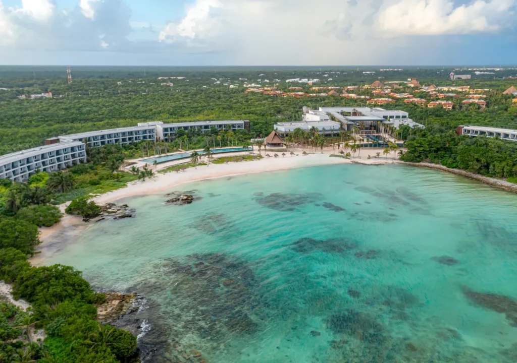 Sargassum-free year in Tulum: what awaits the Riviera Maya in 2025 - Tulum Times Learn why Tulum and the Riviera Maya were sargassum-free in 2024 and the positive impact on tourism and the local environment. A promising outlook for 2025.