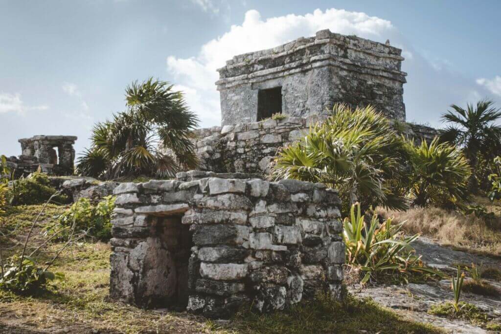 Breaking News from Tulum Mexico - Tulum Times