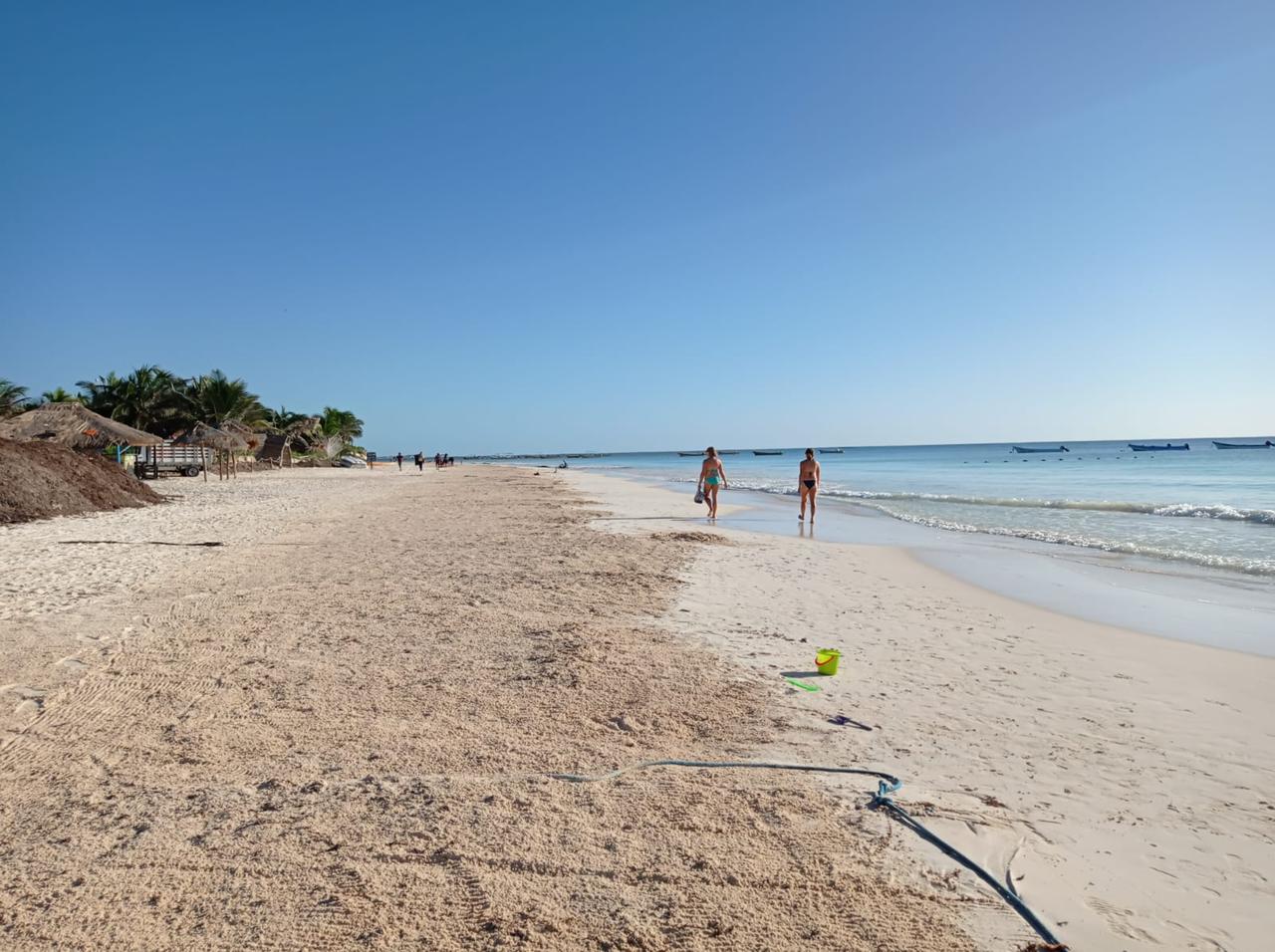 Tulum Grapples with Surging Sargassum on Pristine Shores