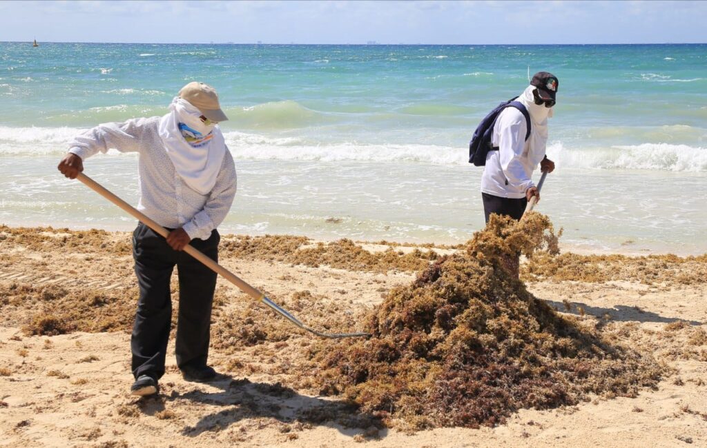 Breaking News from Tulum Mexico - Tulum Times