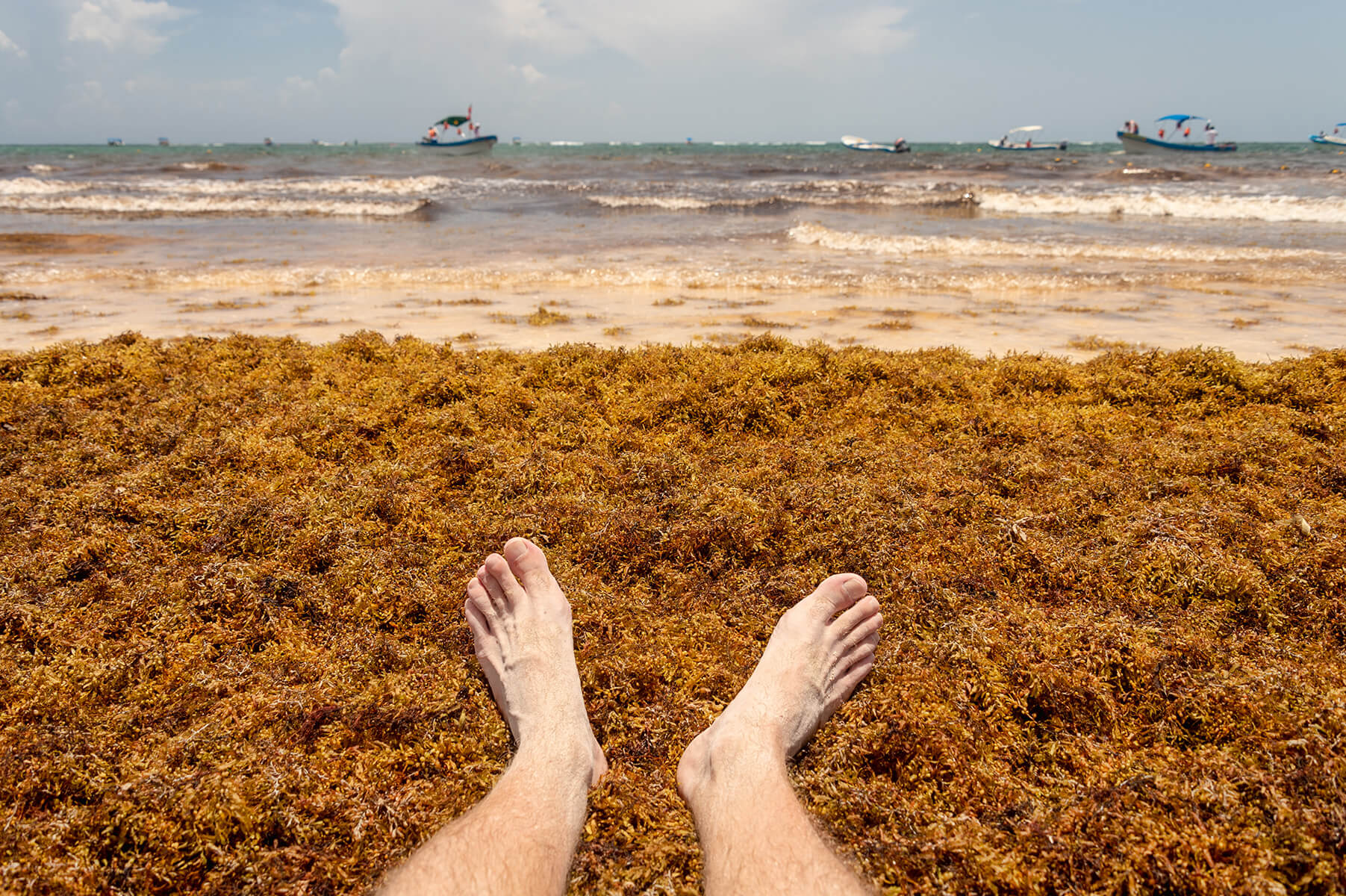 Sargassum Surge Swamps Tulum Beaches This Season