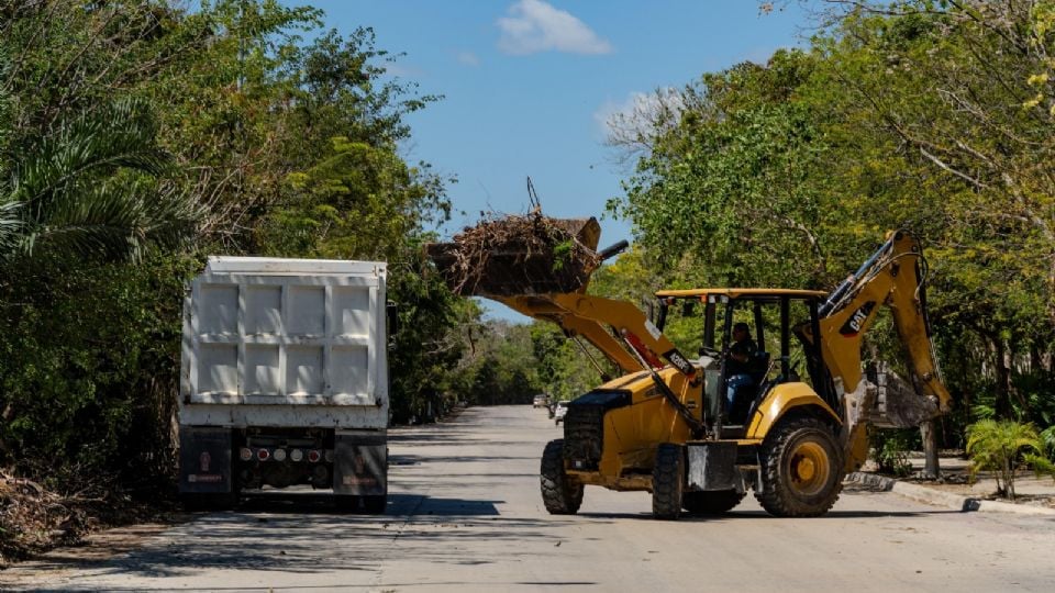 Breaking News from Tulum Mexico - Tulum Times