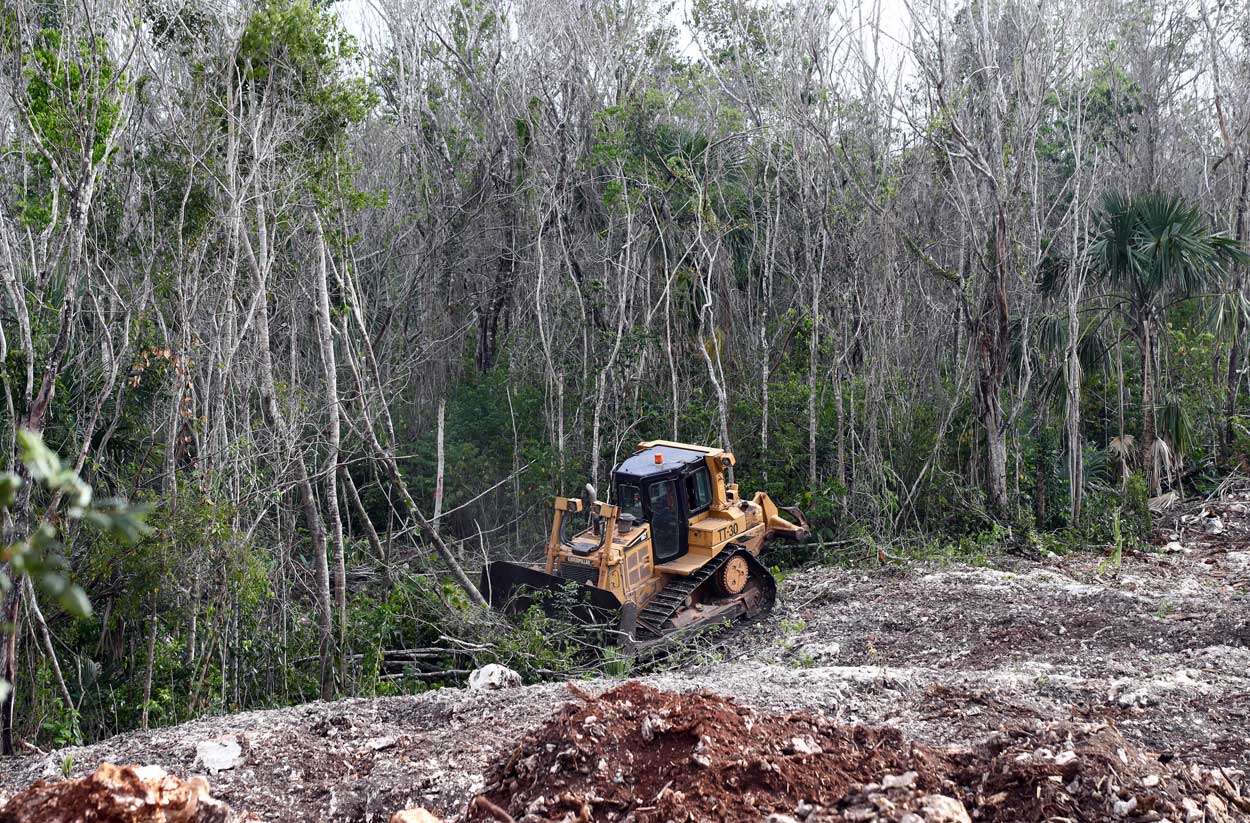 Breaking News from Tulum Mexico - Tulum Times