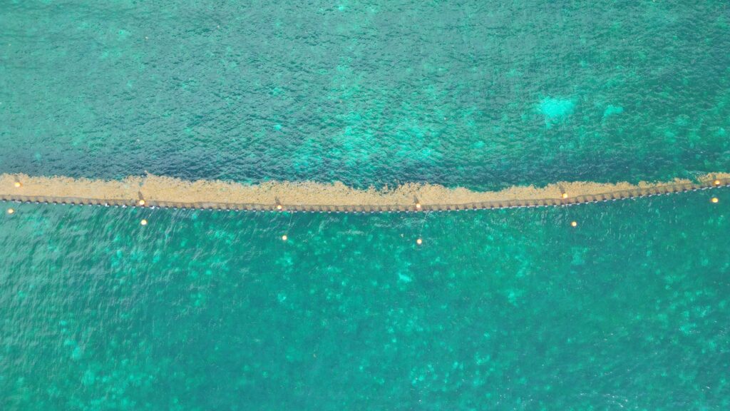 Breaking News from Tulum Mexico - Tulum Times
