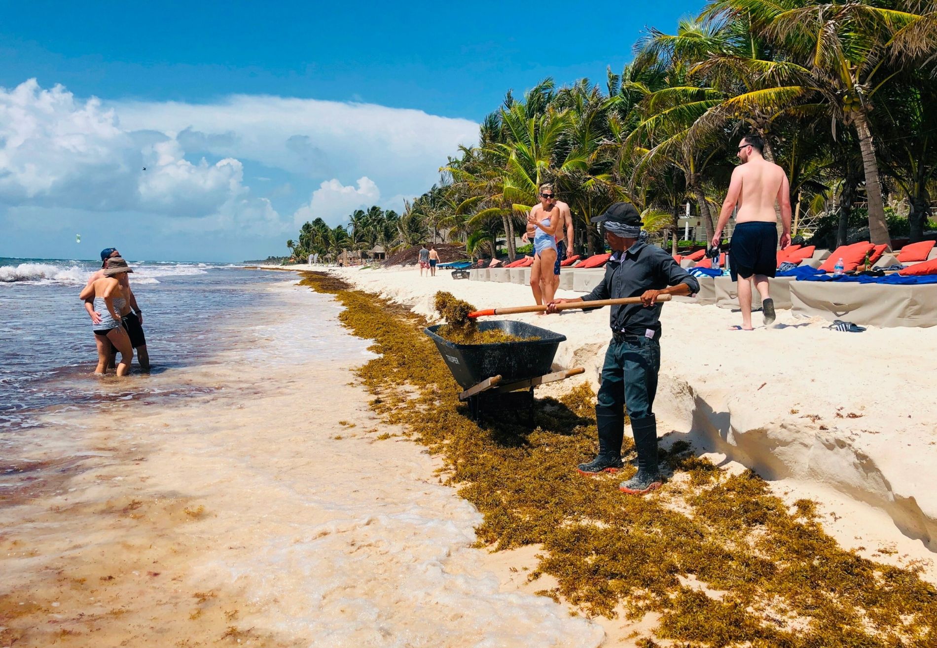 Mexico Navy Deploys Anti-Sargassum Barriers in Tulum Coast