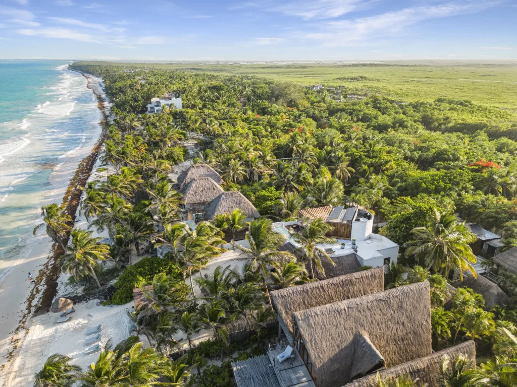 Breaking News from Tulum Mexico - Tulum Times