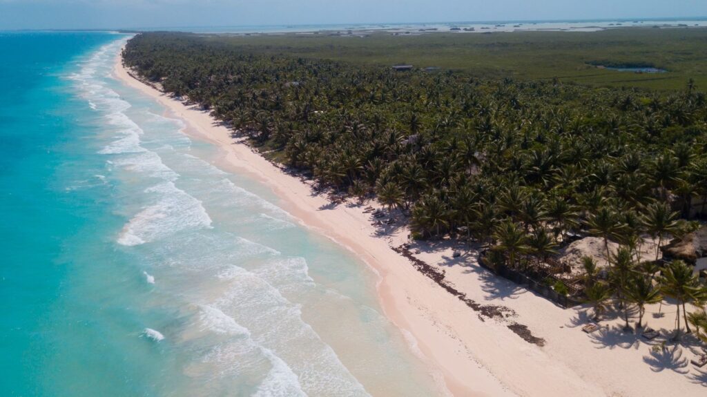Breaking News from Tulum Mexico - Tulum Times