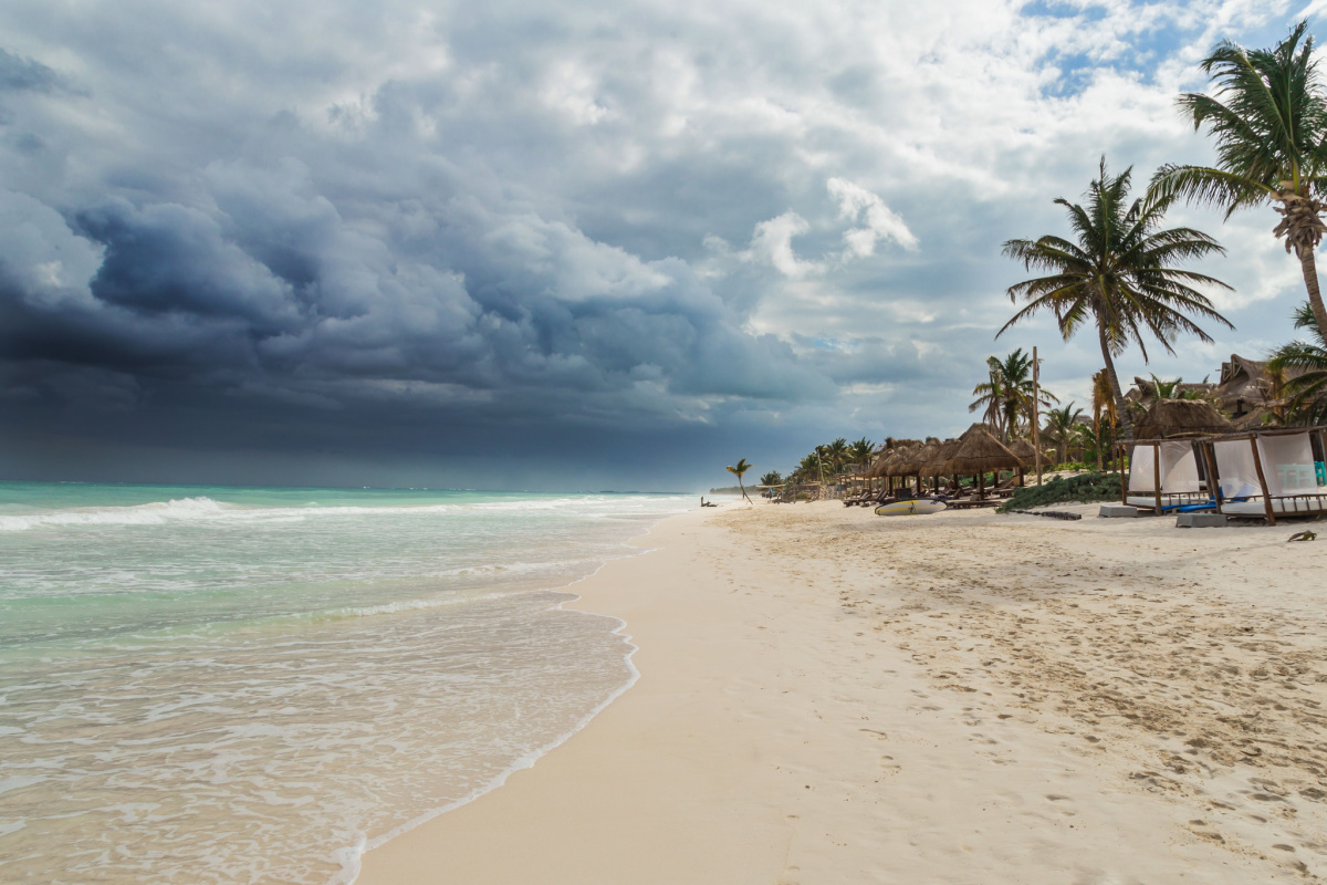 Breaking News from Tulum Mexico - Tulum Times Breaking News from Tulum Mexico - Tulum Times