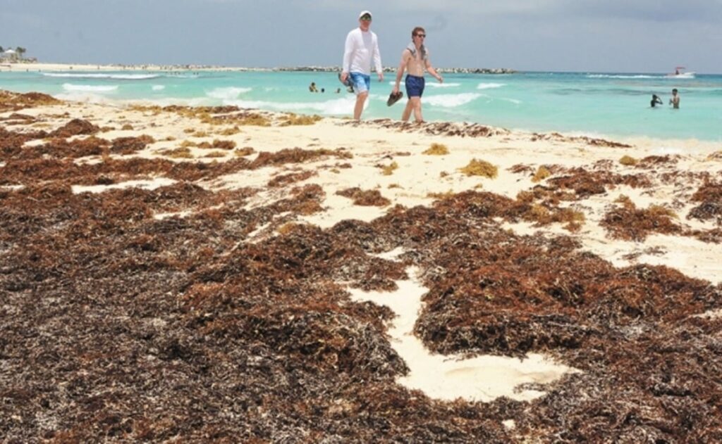 Breaking News from Tulum Mexico - Tulum Times